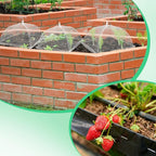 4 Sets Strawberry Plant Supports with Plant Protectors from Animals,Strawberry Growing Support Stakes with Mesh Plant Cover and Metal Garden Lawn Spikes Strawberry Planting Stand for Garden Vegetables