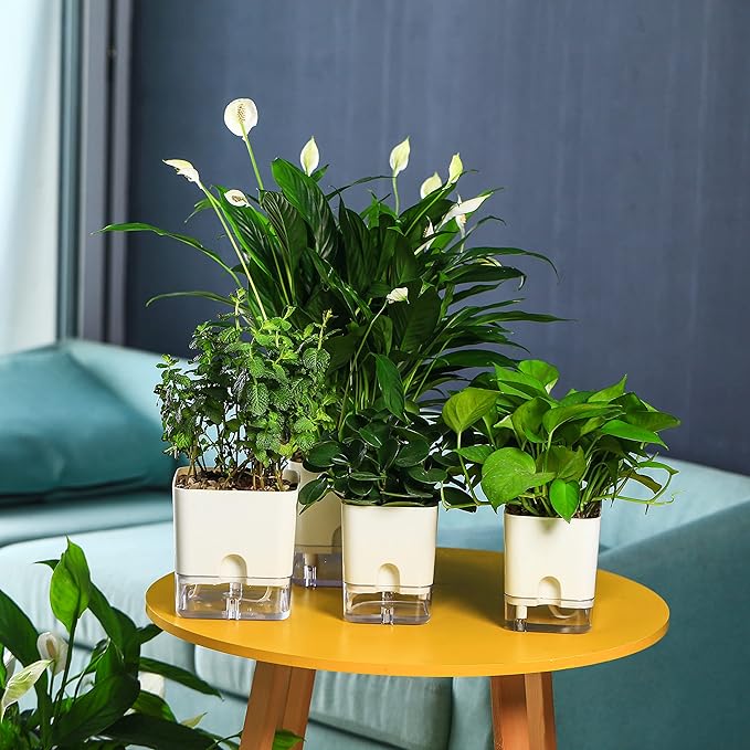 Planterhoma Self Watering Plant Pots for Indoor Plants 7 inch, 8 Packs Rectangular Self-Watering Planters with Drainage Hole, White African Violet Pots for Devil's Ivy, Spider Plant, Orchid, Herb