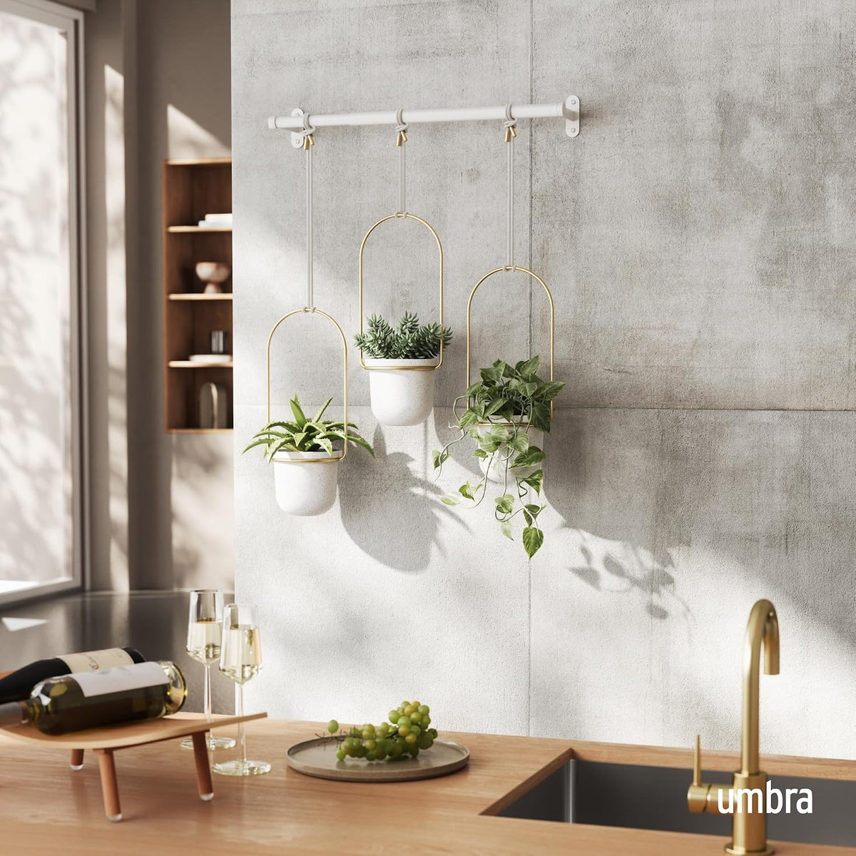 umbra triflora hanging planter, indoor herb garden, set shown in use