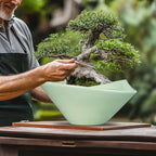 Ceramic Bonsai Pots - Large Succulent Planter 13 Inch Plant Pot Indoor Succulent Pot with Drainage Hole Outdoor Planter Bonsai Tree Pot for House Home Garden Office Decor Green