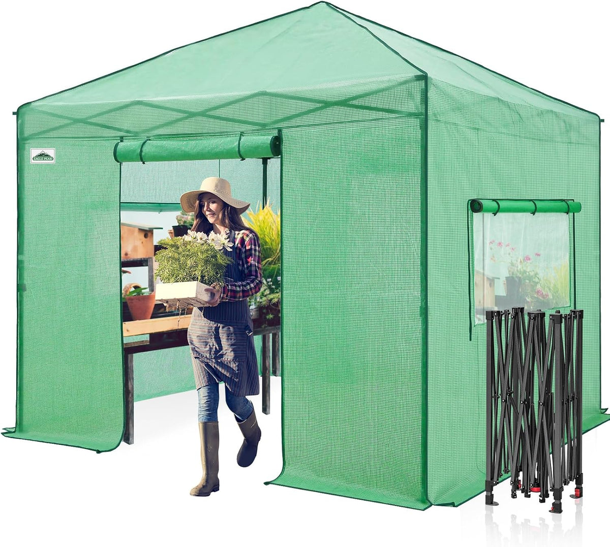 eagle peak 10x10 portable walk-in greenhouse, pop-up indoor, main product view