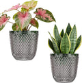 QCQHDU 2 Pack Self Watering Pots, 7.2 Inch Flower Pots with Drainage Holes and Water Filling Port, Garden Planter for Indoor Outdoor Plants (Gray)