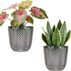 QCQHDU 2 Pack Self Watering Pots, 7.2 Inch Flower Pots with Drainage Holes and Water Filling Port, Garden Planter for Indoor Outdoor Plants (Gray)