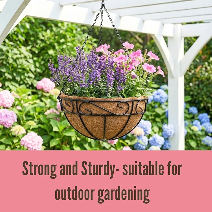 LaLaGreen Hanging Planter for Outdoor Plants (20 Inch, 2 Pack) Hanging Baskets with Coco Liner, Black Metal Wire Flower Basket Pots with Hook Hanger Balcony Porch Farmhouse Country Style Garden Decor