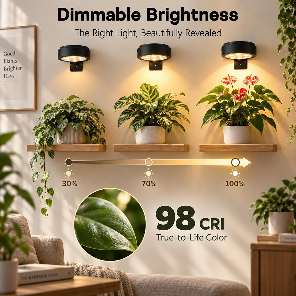 rechargeable grow lights for indoor plants, cordless plant, package contents
