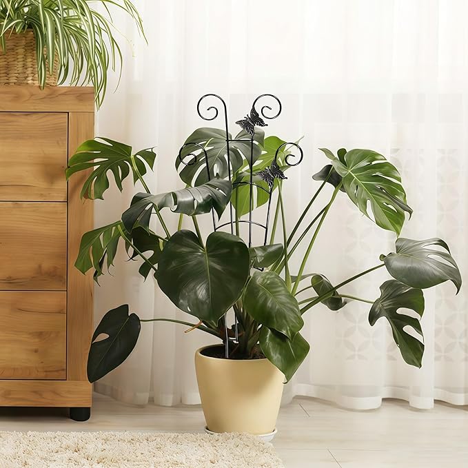 30'' Larger Plant Trellis Indoor, Expandable Metal Trellis for Climbing Plants Indoor, House Plant Climbing Support for Monstera Hoya Pothos, 4P