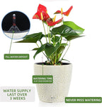 Dexceder 13x12 Self Watering Planter with Wheels Indoor Outdoor, Inner Pot Design, Thickened Large Floor Standing Flower Plant Pot with Water Level Indicator (White Gold Crackle)