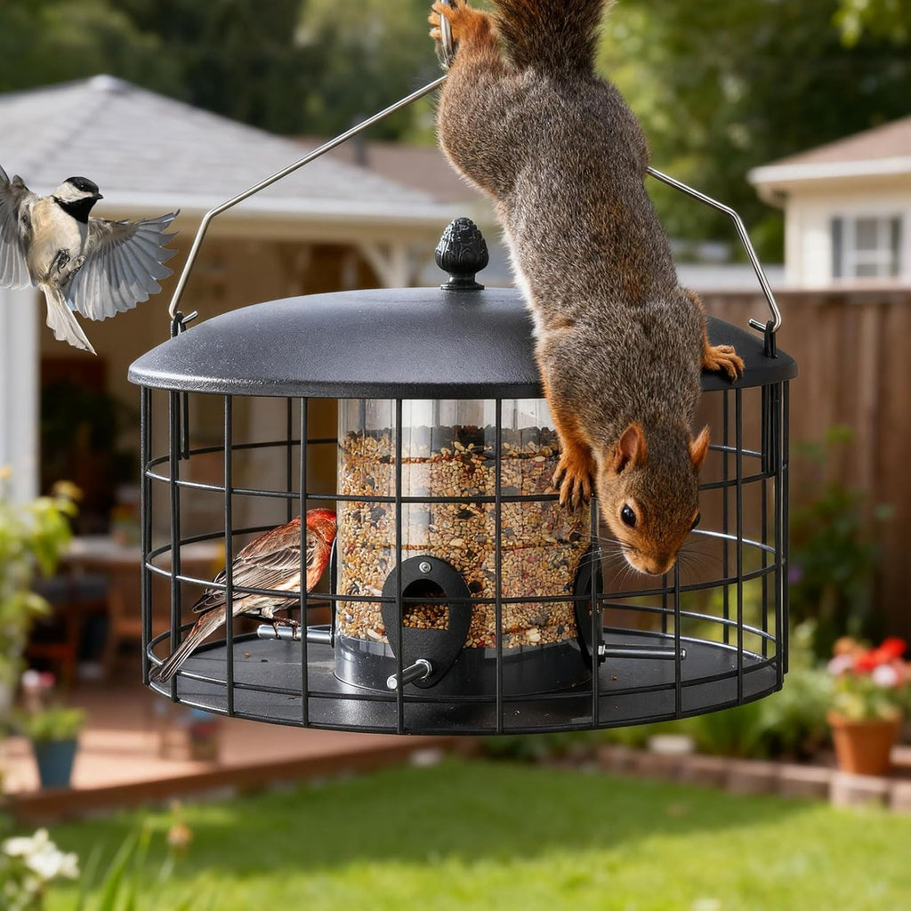 veehoo squirrel proof bird feeders for outdoors hanging on a desk or shelf
