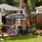 veehoo squirrel proof bird feeders for outdoors hanging on a desk or shelf