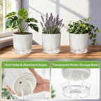 6 Pack Self Watering Pots for Indoor Plants, Flower Planters with Wick Rope & Reservoir, 4" + 5.5" Plastic Pots for African Violet, Orchid, Succulent, Herbs