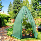 eagle peak portable mini dome greenhouse with zippered on a desk or shelf
