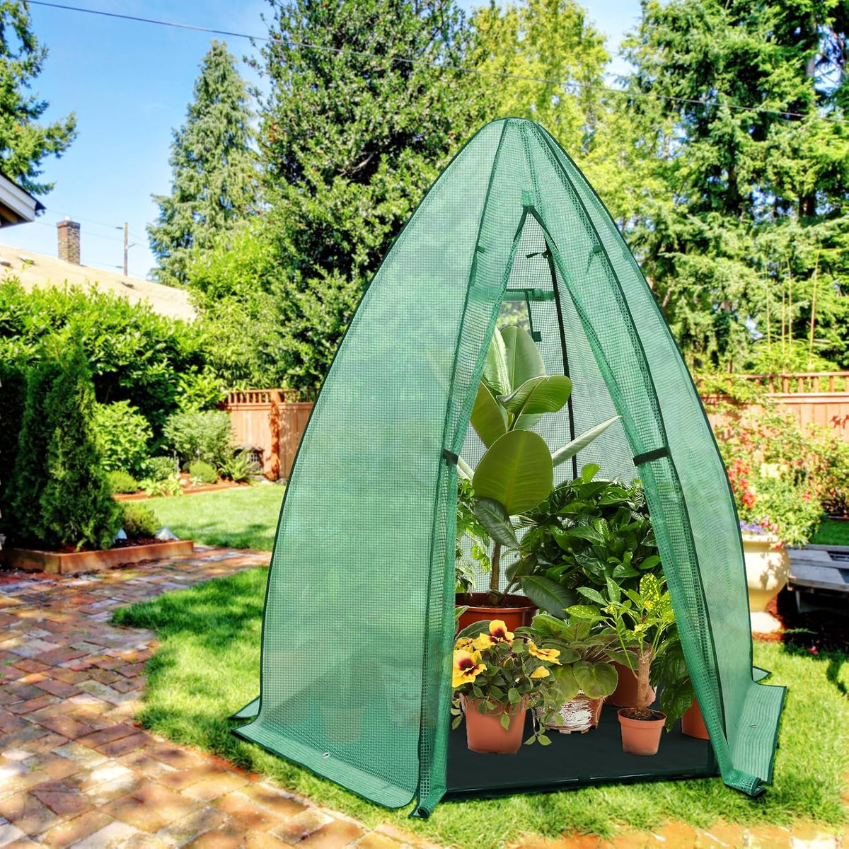 eagle peak portable mini dome greenhouse with zippered on a desk or shelf