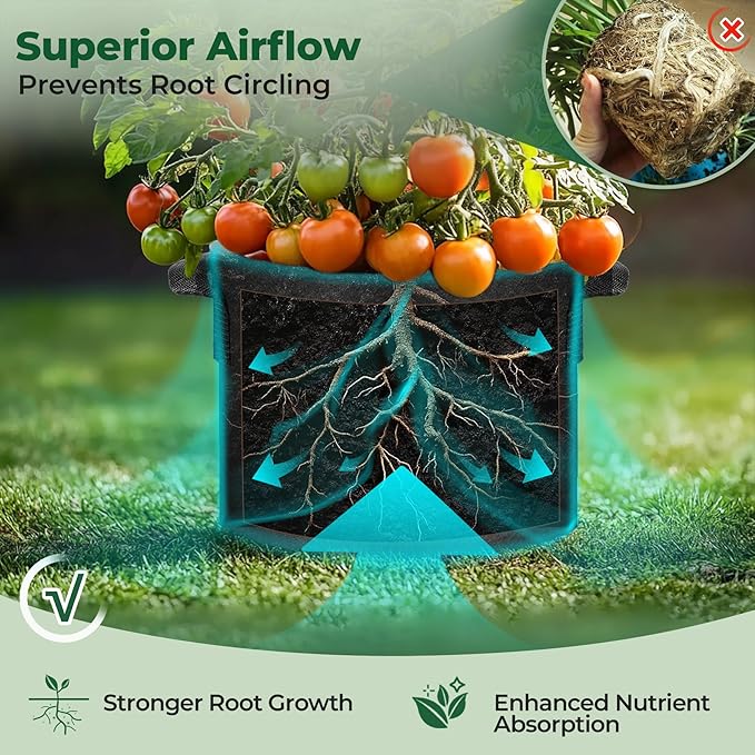T4U 5 Gallon Grow Bags, Upgrade Grow Bags with Handles, Heavy Duty Thickened Nonwoven Fabric Pots, 5 Gallon Pots for Plants, Strawberry, Cherry Tomatoes (10 Pack)