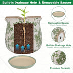 Ceramic-Planters-for-Indoor-Plants with Saucer, 6 inch Vintage Ice Crack Glaze Plant Pots with Drainage Holes, Decorative Flower Pots for Outdoor Garden Home Decor, Tuscan Pot for Plant