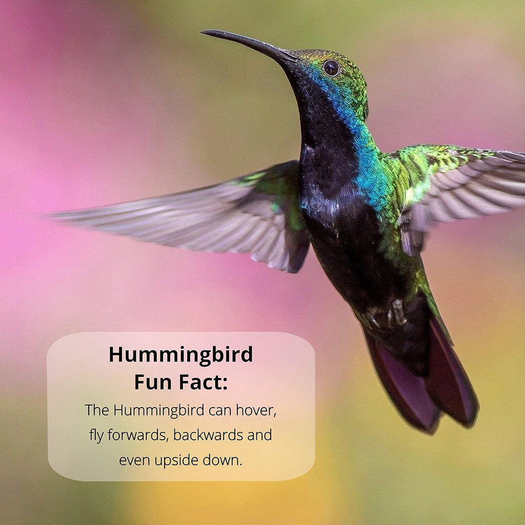 Nectar Defender Hummingbird Nectar Extender, Bird-Safe, Natural, 2-Pack | Bird-safe, Keeps nectar fresh, Reduces spoilage, Extends nectar up to 2 weeks, Dye-free, Protects 16 quarts, Made in USA