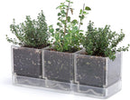 D'vine Dev Herb Garden Planter Set, Plastic Plant Pots with Drainage and Saucer, Indoor Succulent Cactus Vegetable Pot for Windowsill, Garden Balcony, Clear, Set of 1, 76-V-D-1