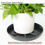 NIMYAU Plant Saucer 6 Inch 4 Pack,Thick Plastic with Raised Center Design Plant Saucers 8 10 12 14 17, Superior Drainage Drip Tray for Indoor Outdoor Planters (6 inch)