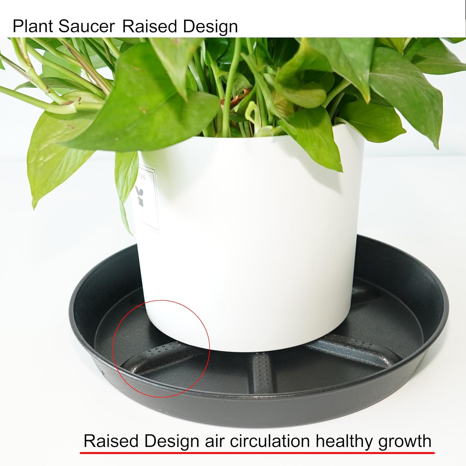 NIMYAU Plant Saucer 6 Inch 4 Pack,Thick Plastic with Raised Center Design Plant Saucers 8 10 12 14 17, Superior Drainage Drip Tray for Indoor Outdoor Planters (6 inch)