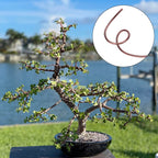 98 feet brown anodized aluminum bonsai training wire, package contents