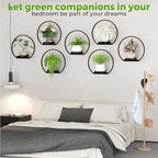 Wall Planters for Indoor Plants, Plant Frames Wall Decor Living Room Plant Stand Hanging Wall Plants Holder to Hold Large Pots Wall Plant Hanger Window Plant Shelves for Outdoor Entryway