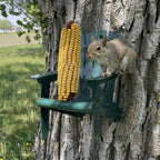 Hunter Green Adirondack Chair Squirrel Feeder | Metal Chair Holds 1 Corn Cob or Orange Slice - Mounts to Any Tree or Post, Attracts Squirrels, Orioles and Blue Jays