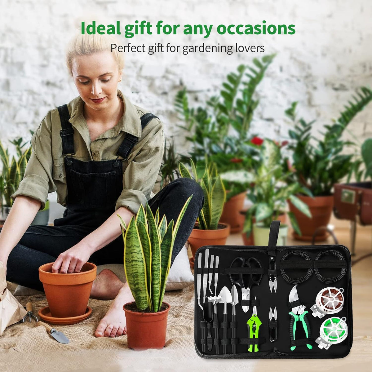 bonsai tree kit, 20 pcs gardening succulent tools on a desk or shelf