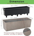 GardenBasix Elongated Self Watering Planter Pots 2-Pack Window Box 5.5 x 16 inch Indoor Home Garden Modern Decorative Pot for All House Plants Flowers Herbs (Coffee,2)