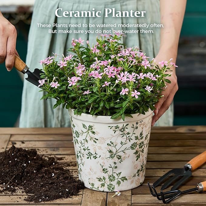 Ceramic Planter with Drainage Hole, Plastic Tray & Mesh, 6 Inch - Indoor/Outdoor Flower Pot for Orchids, Succulents, Green Floral Modern Farmhouse Décor for Home,Office and Garden, Ideal Gift