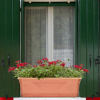 Southern Patio 36 in Medallion Hanging Windowsill Garden Box Planter, Terracotta