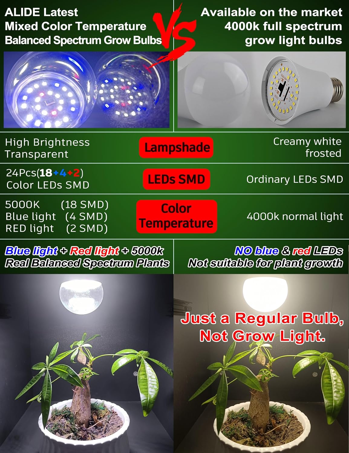 Led Grow Light Bulbs for Indoor Plants Full Spectrum E26 A19 | Grow LED Lamp 10W with Balanced 5000K Red Blue for Seeds Greens Laboratory,School,Greenhouse, Indore Garden, Hydroponic,3Pack