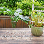 6.5 * 6.5in Monstera Plant Support Hook 5PCS - Durable Stabilizer & Leaf Holder for Indoor Plants, Flexible Installation & Soft Grip Design - Perfect for Fishbone Cactus and Other Houseplants