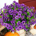 Artificial Flowers for Outdoor, UV Resistant Fake Silk Flowers, Realistic Faux Plants for Outside Indoor Porch Patio Window Box Planter Home Decor (14, Purple)