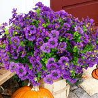 Artificial Flowers for Outdoor, UV Resistant Fake Silk Flowers, Realistic Faux Plants for Outside Indoor Porch Patio Window Box Planter Home Decor (14, Purple)