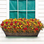 Halatool 24 Inch Window Box with Coco Liner, 4 Pack Sturdy Metal Flower Railing Planter with Coco Coir Basket Liners for Window Deck Fence Porch Balcony and Patio Outdoor Indoor Lawn