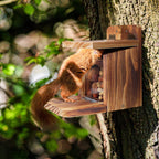 Wooden Squirrel Feeder Box, Sturdy Squirrel Feeding House with Thickness 1.5CM Wood, No Assembly Required, for Backyard Outside Garden (1 PCS)