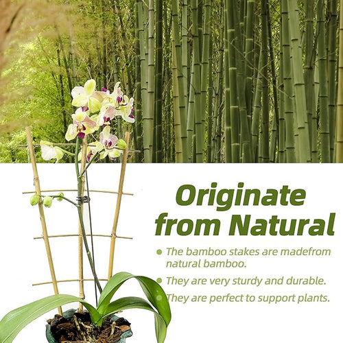 20 Pack 16" Bamboo Trellis for Climbing Plants-Natural Garden Ladder Fan -Shaped Plants Support Trellis for Potted Plant Decor in Door