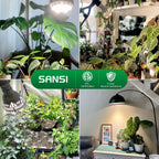 SANSI Grow Light Bulbs for Indoor Plants, 24W Full Spectrum 4000K Daylight | 300 Watt Equivalent BR30 Plant Growing Light Bulb, 4000K Full Spectrum, Optical Lens for High PPFD, ETL Listed