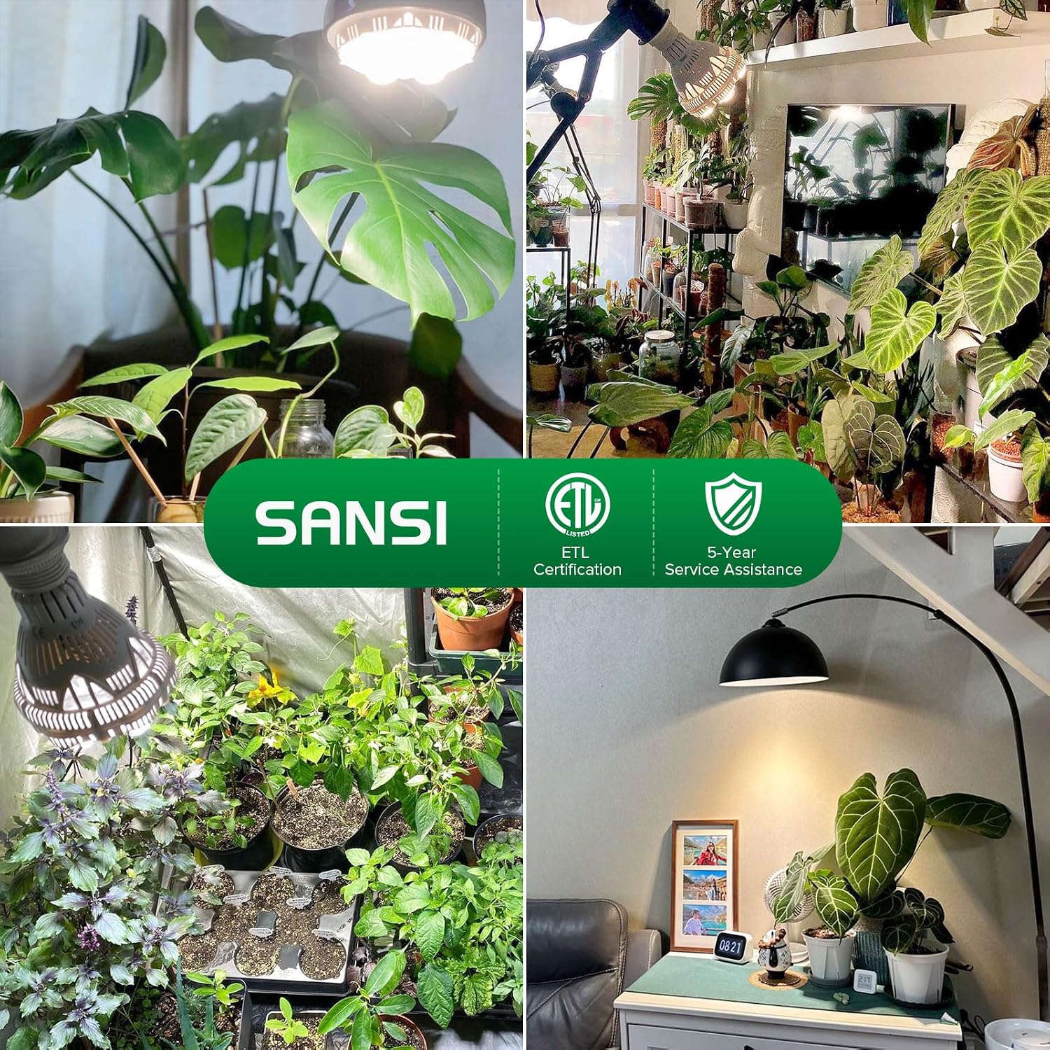 SANSI Grow Light Bulbs for Indoor Plants, 24W Full Spectrum 4000K Daylight | 300 Watt Equivalent BR30 Plant Growing Light Bulb, 4000K Full Spectrum, Optical Lens for High PPFD, ETL Listed