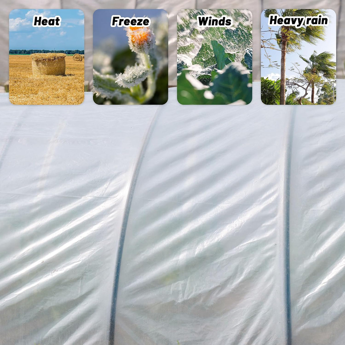 6 mil clear greenhouse plastic sheeting,transparent plastic film showing dimensions