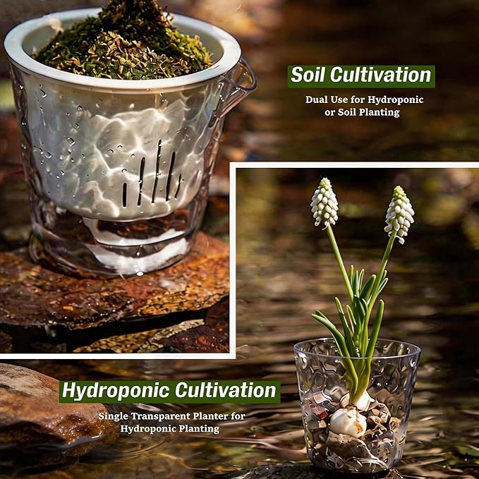 InmeRun Plant Pots Indoor Plastic Flower Pots Outdoor 5 inch Set of 6 Pack with Drainage Holes and Saucers for Garden Pots (self Watering 5in-6p)