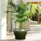 8 Inch Plant Pot - Ceramic Planter with Drainage Hole and Saucer, Modern Flower Pot for Glazed Indoor Plants Outdoor, Dark Green