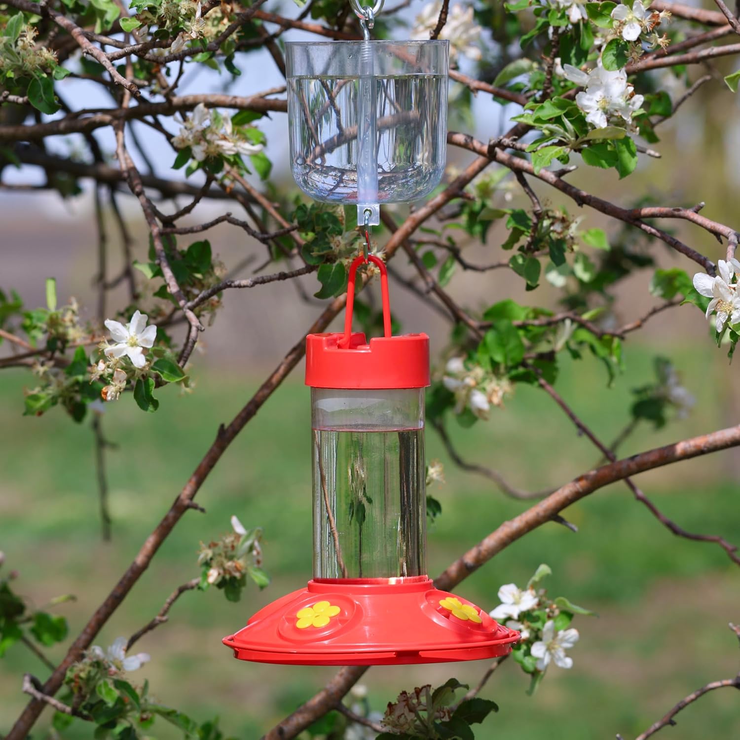 Nectar Protector 18 oz Clear Ant Moat for Bird Feeders | See-Through Bowl Shows Water Level at a Glance - 18 oz Ant Moat Hangs Between Hook and Feeder to Protect Nectar