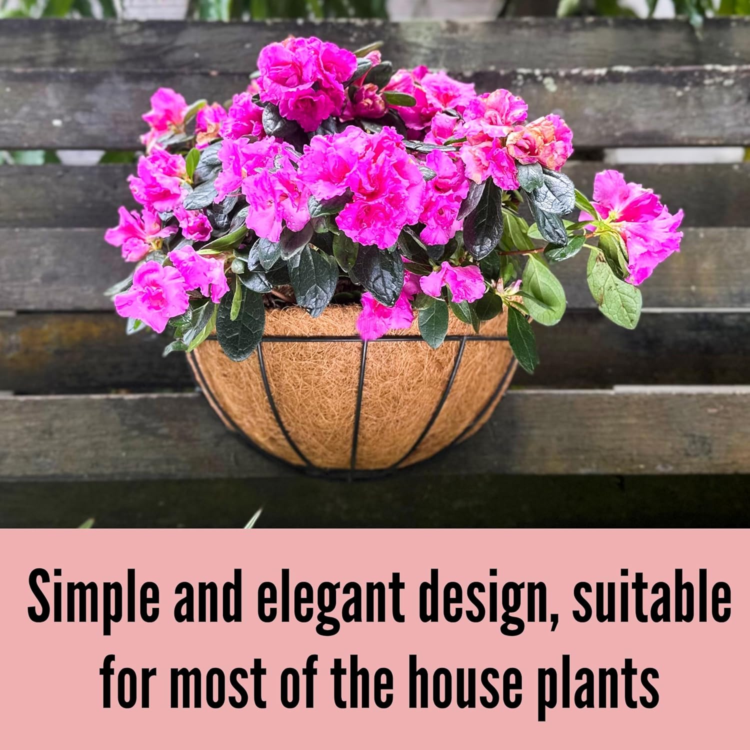 LaLaGreen Wall Hanging Planters (12 Inch, 2 Pack) Wall Mounted Flower Baskets with Coco Liner, Metal Iron Wire Plant Holder for Outdoor Window Box Herb Outside Fence Railing Deck Porch Balcony Garden