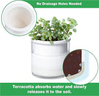 Phoenix Vine 4 Inch Self Watering Planter Pot, Design White Terracotta Pots for Plants, Indoor Cylinder Terra Cotta Pots with Glass Vase, Set of 1, 51-B-E-1