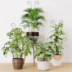 Larger 23.6in Plant Trellis for Climbing Plants Indoor Outdoor, 4 Pack Expandable Metal Trellis for Potted Plants - Sturdy Rustproof Plant Support for Pothos Ivy Hoya Monstera, Houseplant Decor