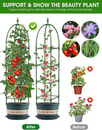 Trellis for Climbing Plants Outdoor, 6FT Garden Obelisk Rustproof PE Coated Metal Potted Plant Climbing Support, Thickened Tube Plant Tower Trellis for Clematis Vine Support Indoor (1 Pack)