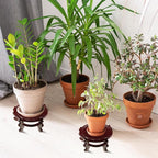 Geetery 2 Pcs 4 to 12 in Wooden Plant Stands Indoor Chinese Oriental Plant Stand for Vase Fishbowl Flower Pot Lamp Redwood Base Vintage Display Rack Decor(8 Inch)