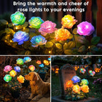 Solar Rose Lights Outdoor: 4 Pack IP65 Waterproof 7-Color Changing LED Flower Stakes for Garden Pathway Patio Lawn Decorative - Auto On Off 10H+ Lighting
