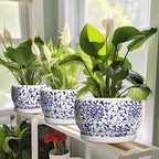 SQOWL 6 Inch Planter - Ceramic Plant Pots Indoor with Drainage Hole and Saucer, Round Ceramic Flower Pot Outdoor, Porcelain Decorative Planter, Backyard Decor, Gifts for Plant Lovers, Blue and White