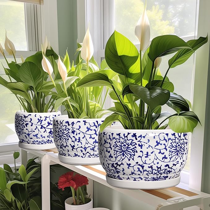 SQOWL Ceramic Pots for Plants - 8 inch Ceramic Planter with Drainage Hole and Saucer, Round Flower Pots for Indoor Plants, Porcelain Planter Outdoor, Porch Decor, Gifts for Women Men, Blue and White